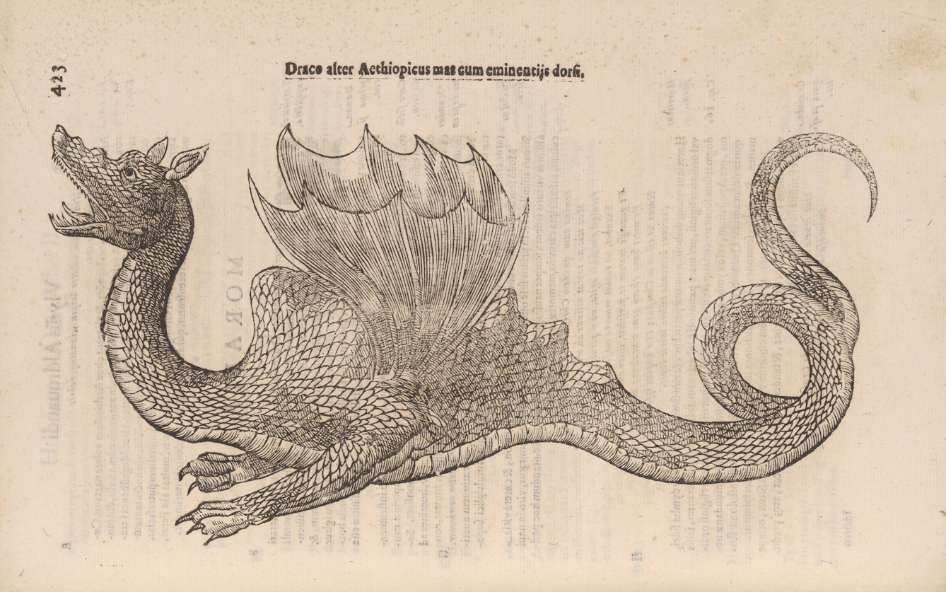 Photograph of a woodcut illustration in a 17th century early printed book, depicting a dragon.