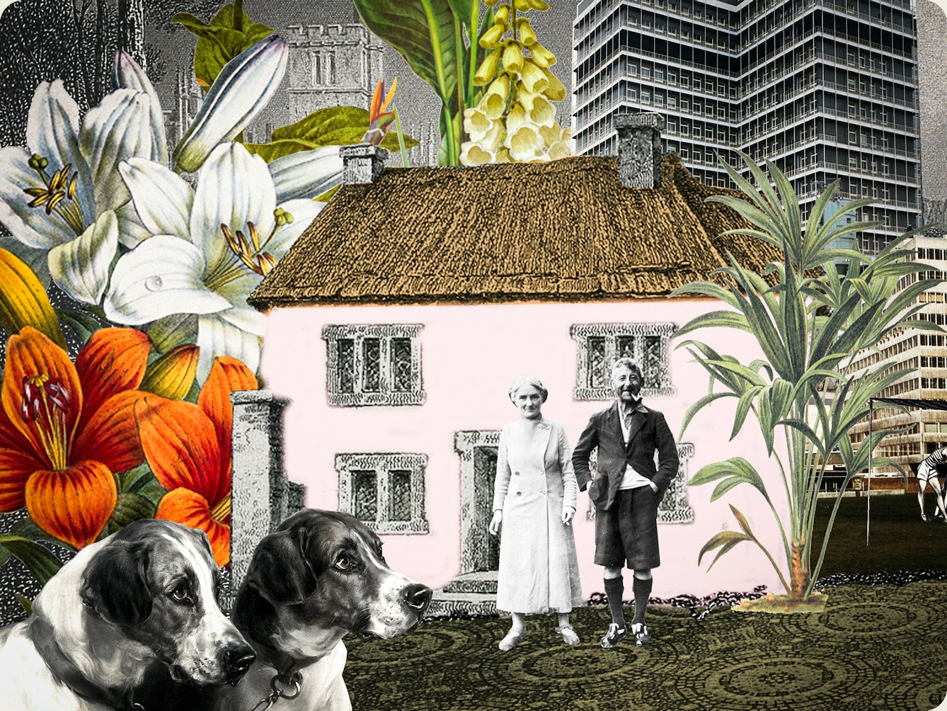 Artwork using collage. The collaged elements are made up archive material which includes, vintage photographs, etchings, painted illustrations, lithographic prints and line drawings. This artwork depicts a house, in front of which stands an elderly couple. The house is surrounded by large colourful drawings of flowers and trees. Behind the house in the distance is a skyline of tall tower blocks. In the foreground are the heads of two dogs with doleful eyes.