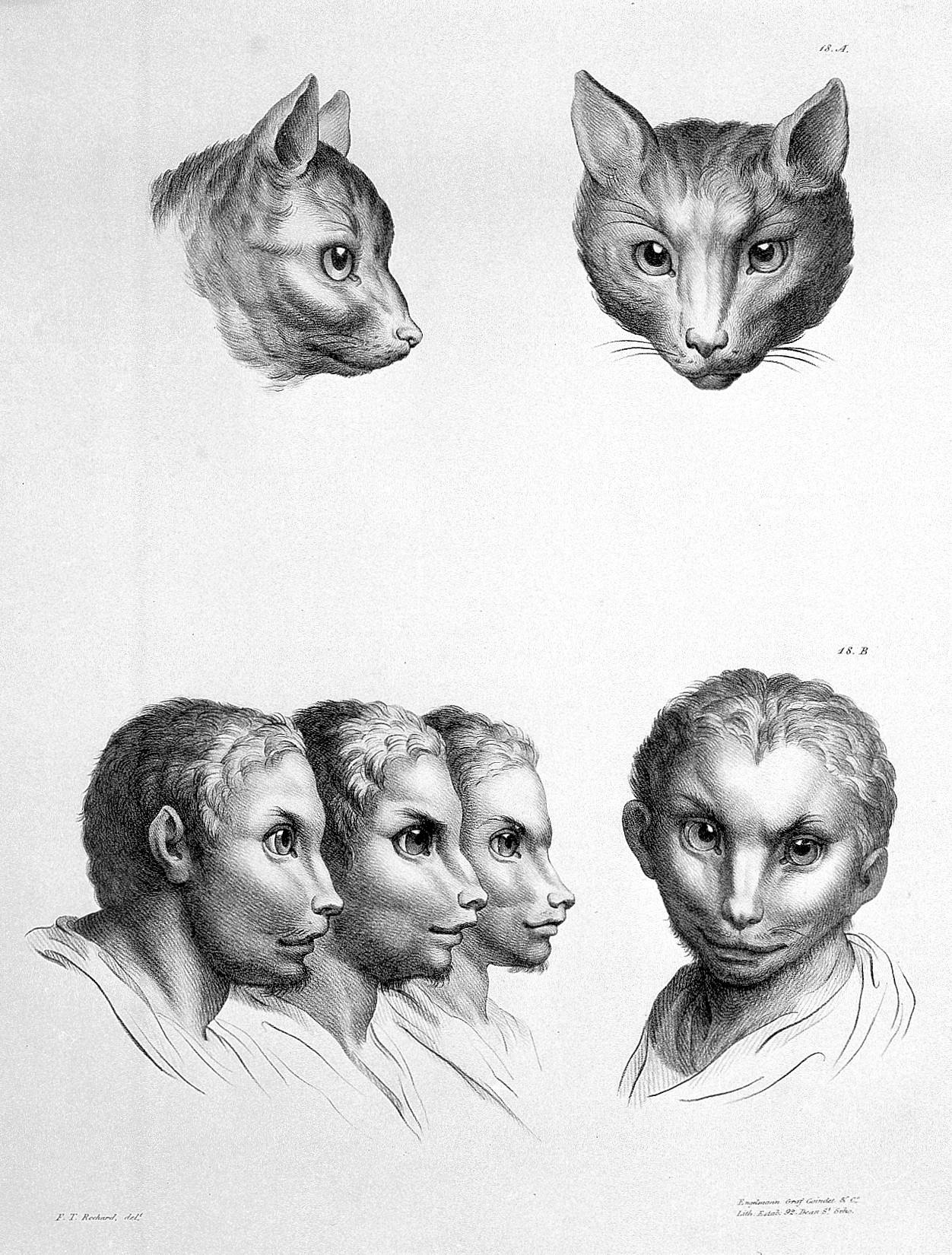 Charles Le Brun, The relation between the human physiognomy and that of the brute creation, 1671