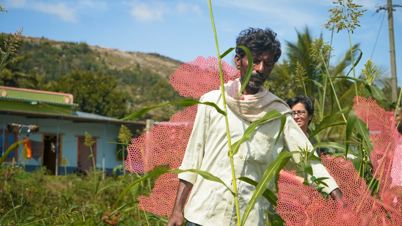 Photograph of a farmer getting ready to harvest his organic crop of native Ragi in Kariyappanadoddi, India. Behind him are hills and a small single storey building. Interwoven into the scene is a graphic element made up of thin red drawn circular lines, which create a larger organic pattern behind the farmer.