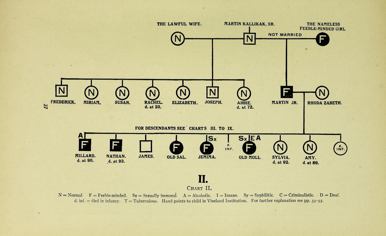 Black and white diagram from a printed book showing a family tree. One of the two branches stems from "the lawful wife" and has children labelled with N for normal. The other of the branches stems from "the nameless feeble-minded girl" and connects with Martin Kallikak via a line that says "not married". From this come nodes for offspring labelled as being feeble-minded, sexually immoral, alcoholic, insane, syphillitic, criminalistic, deaf, dying in infancy, and/or having tuberculosis. 