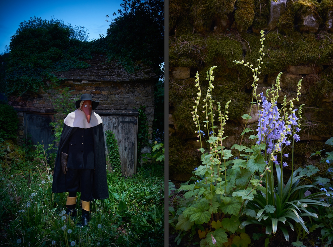 Photographic diptych showing on the left a mannequin dressed as a plague doctor, against an old brick barn building, surrounded by foliage. On the right is a photograph of local flora against a dry stone wall covered in moss.