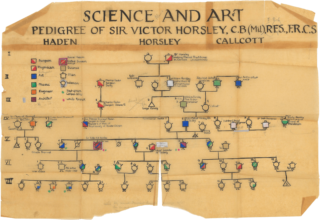 Family tree of Sir Victor Horsley with males represented as squares and females as circles. A colour-coded key indicates whether someone was: a surgeon, a physician, artist, musician, engineer, artist, architect, social reformer noted surgeon artist (all one entry - Horsley's), scientist, red-green colourblind, or had a white forelock. 