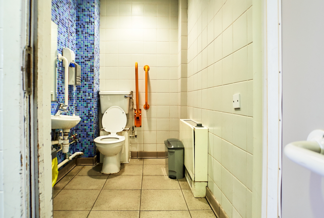 Photograph though the doorway of an accessible toilet showing part of the door and doorframe, along with the contents of the room, toilet, basin, sanitary bin and baby changing table. One of the walls is covered in a tile mosaic made up of small blue, green and black tiles.