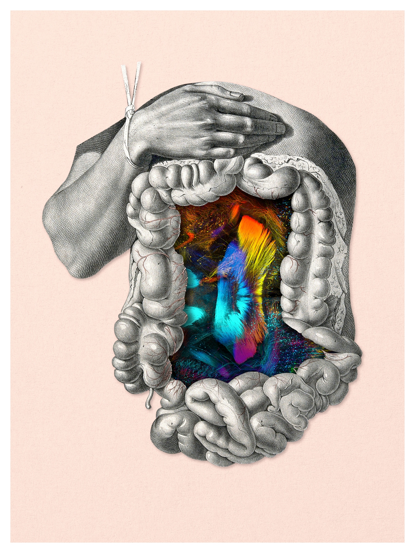 Digital collage of archival material. The mid section of a body has been isolated. Surrounding the stomach area are the intestines.  Inside the chest cavity are colour renditions of electrical impulses.