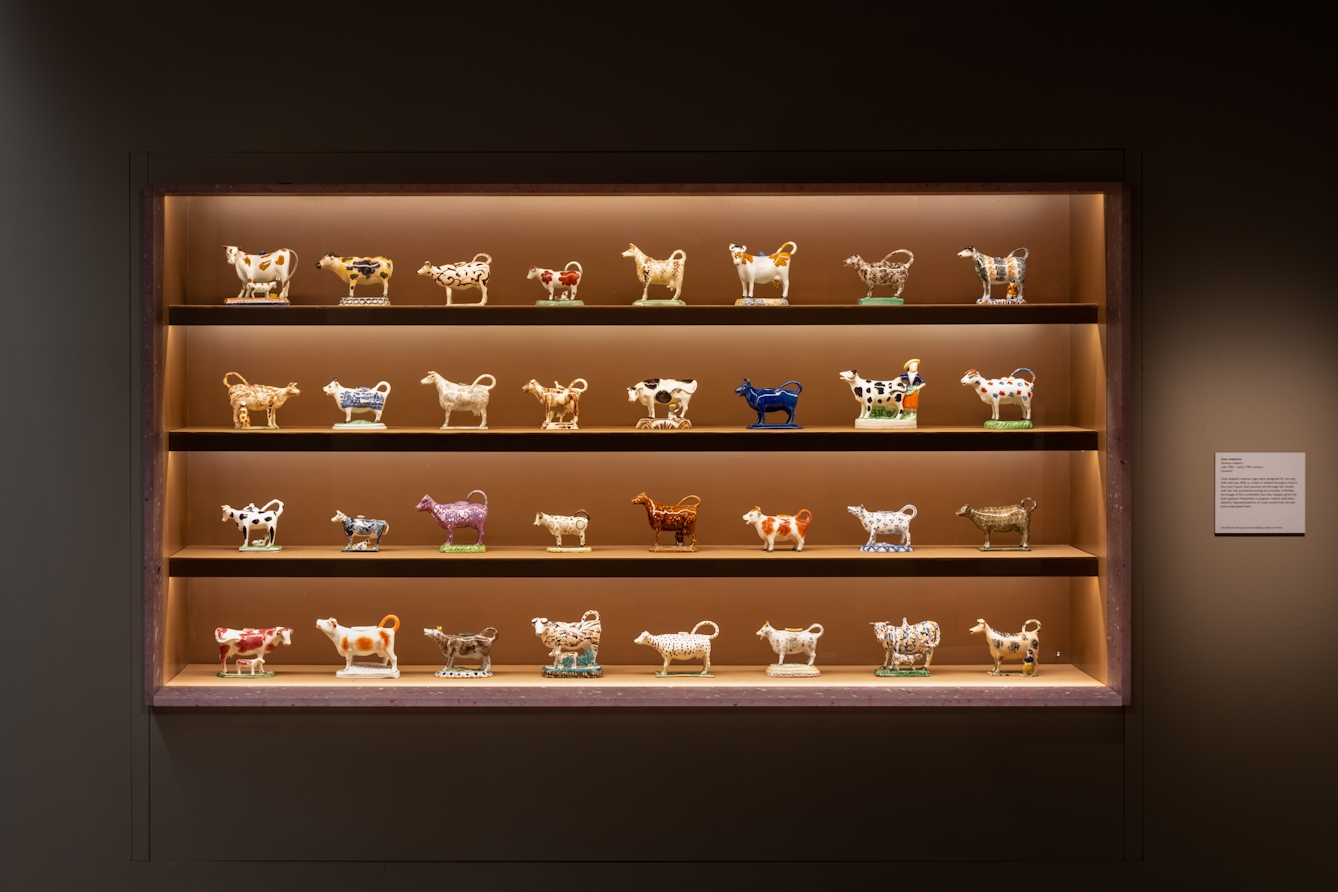 Photograph of a display case set into a gallery wall. Inside the case are 4 shelves, each containing 8 ceramic creamers in the form of a cow. They are all different shapes, colours and patterns.