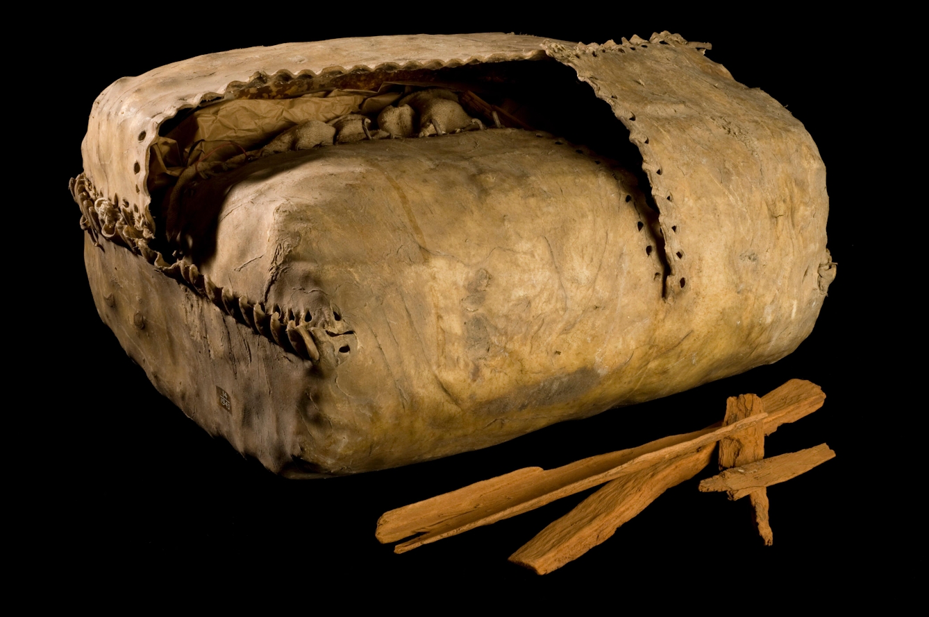 A rectangular rawhide bag for carrying cinchona bark, held together with leather stitching. Some strips of bark lie in front of it. 18th century Peru.
