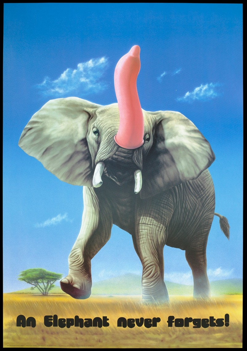 Condom poster featuring a drawing of an elephant with a large pink condom over its trunk on a background of blue sky and grasslands, with the caption: 'An elephant never forgets'
