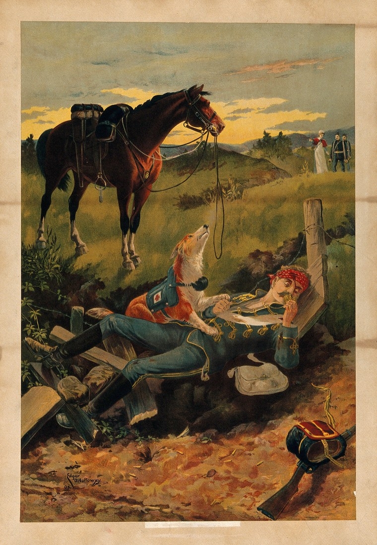 A wounded soldier is lying on the ground, with a rescue dog on top of him, and his horse in the background.