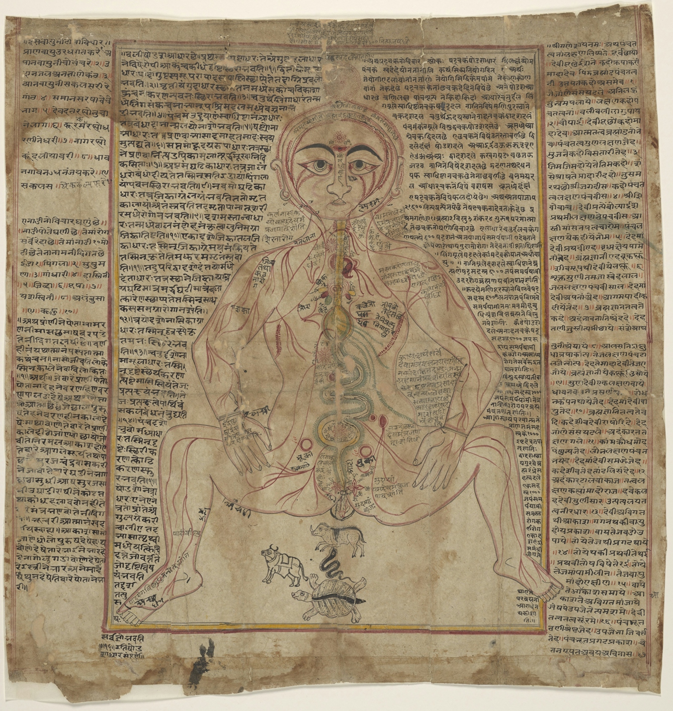 A colour anatomical drawing of a human body, seated with legs bent and open, is surrounded by text, written in Sanskrit and Old Gujarati.