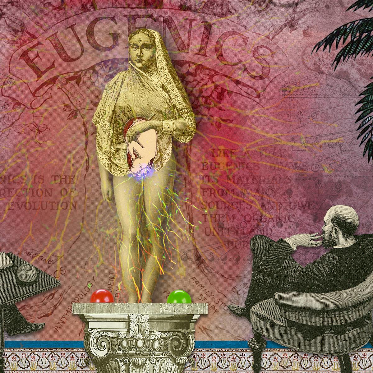 Illustration using collage techniques. Image shows a scene made up of mainly red and blue hues. In the centre of the image stands a woman on an ornate pedestal, naked from the waist down. Her left hand rest on the top of a superimposed illustration of a baby in the womb. Either side of her feet is a green domed light to the right and a red one to the left. Seated either side of her are two Victorian clan men reclining in comfortable chairs staring at her, one holding a cigar.  In the background can be seen the word 'Eugenics' and floral and palm leaf motifs.