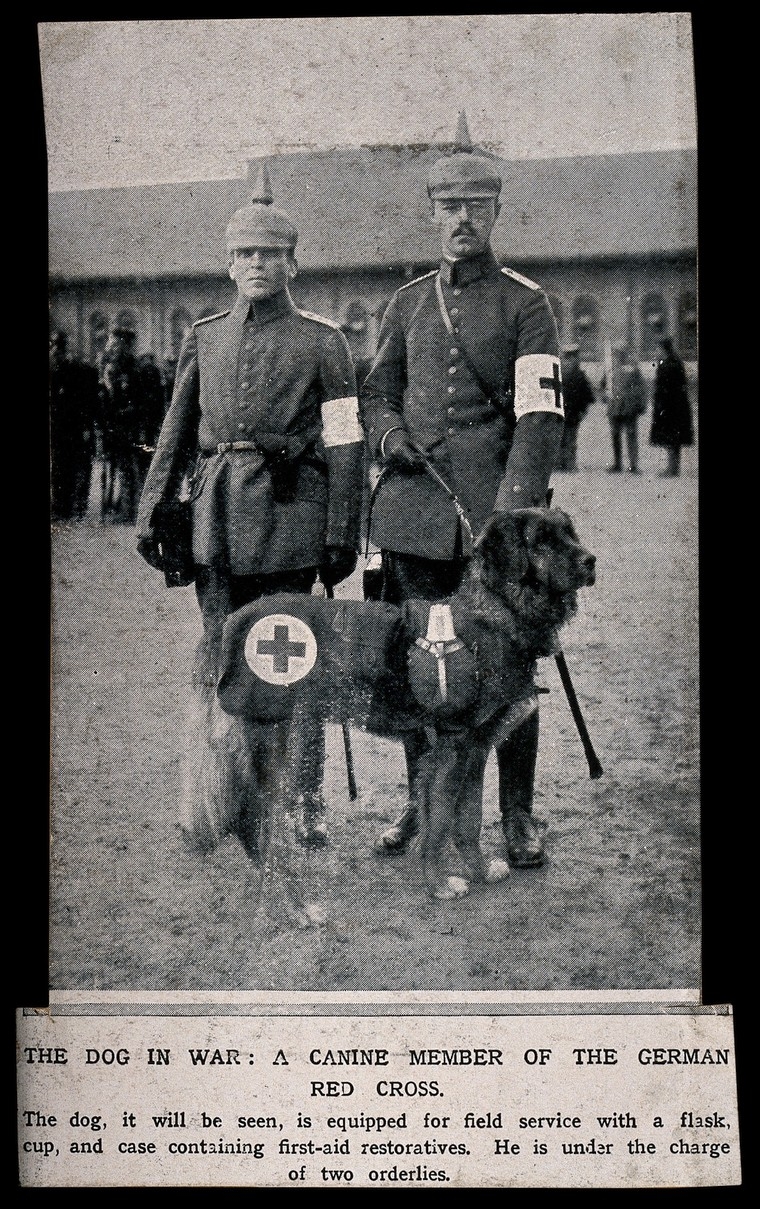 Two soldiers standing side to side with a rescue dog on a leash.