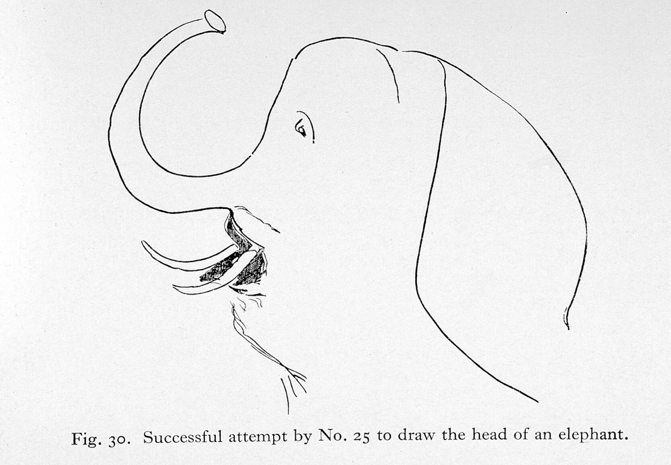Pencil drawing of an elephant's head with trunk raised. The text at the bottom of the image reads: "Fig. 30. Successful attempt by No. 25 to draw the head of an elephant"