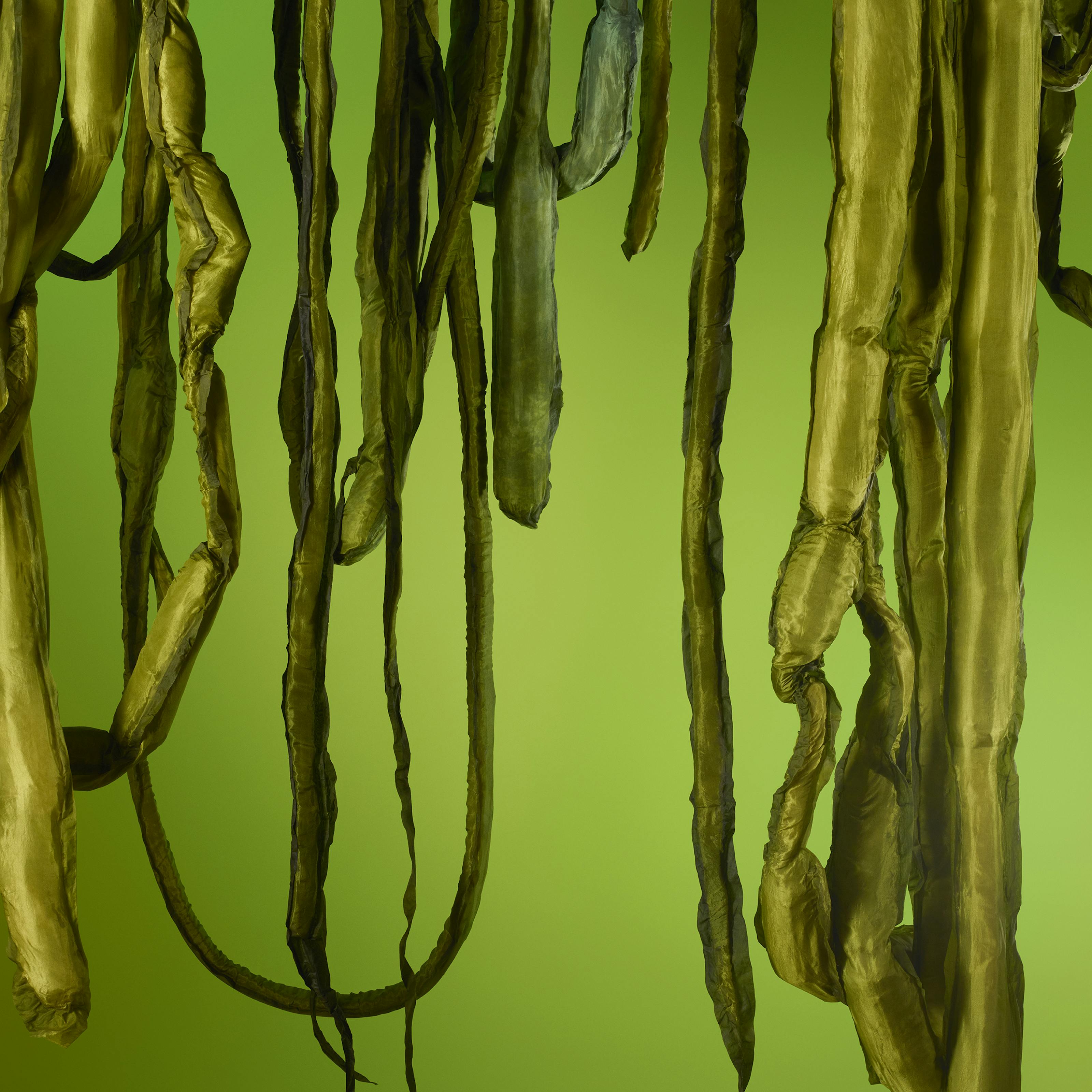 Long tangled tendrils hang in loops and strands in a plant-like structure suggesting a vine. A Great Seaweed Day: Gut Weed (Ulva Intestinalis) is a mixed media sculpture by Ingela Ihrman.