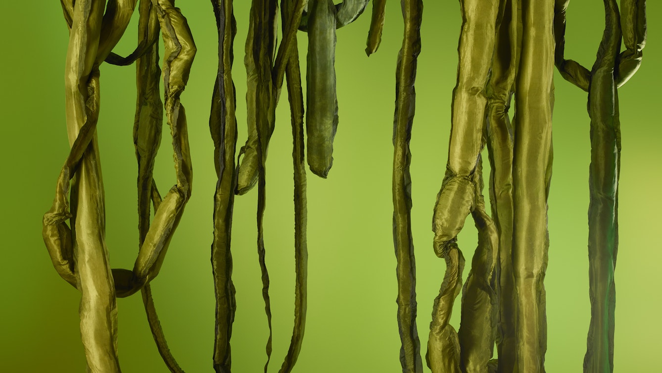 Long tangled tendrils hang in loops and strands in a plant-like structure suggesting a vine. A Great Seaweed Day: Gut Weed (Ulva Intestinalis) is a mixed media sculpture by Ingela Ihrman.