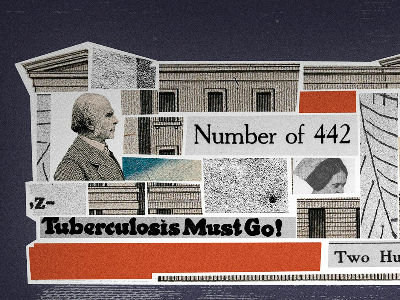 Crop from a larger digital collage. Shown is a building, labelled 'North London Hospital'. The building's interior is filled with different collage elements, including newspaper cut-outs reading 'Tuberculosis can be prevented and cured', 'Tuberculosis must go!' and 'Eugenics'. There is an image of a sphygmograph, and an image showing physiognomy. There are photos of Charles Darwin, Francis Galton and Sake Dean. There are orange and turquoise rectangles in the interior, and an orange path leading out of the building's front door.
