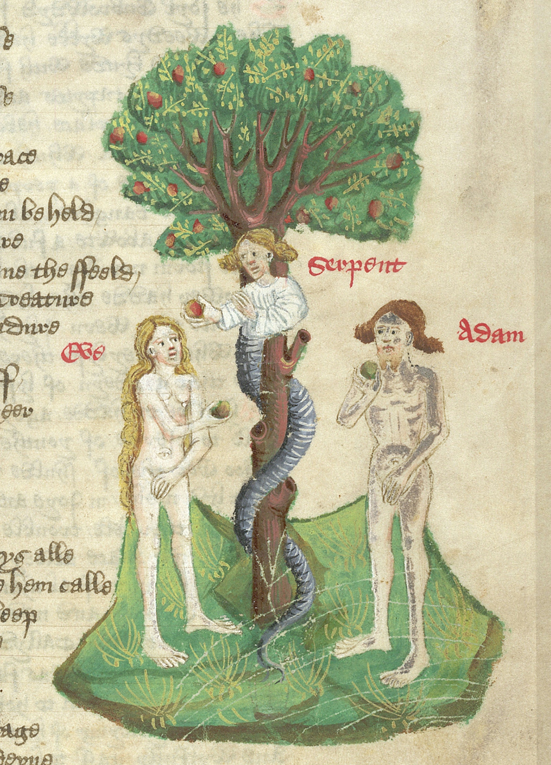 Colour image of a medieval manuscript showing an illustration of a naked Adam and Eve standing beside the apple tree, where a serpent with a human torso, face and arms is holding out a red apple to Eve. 