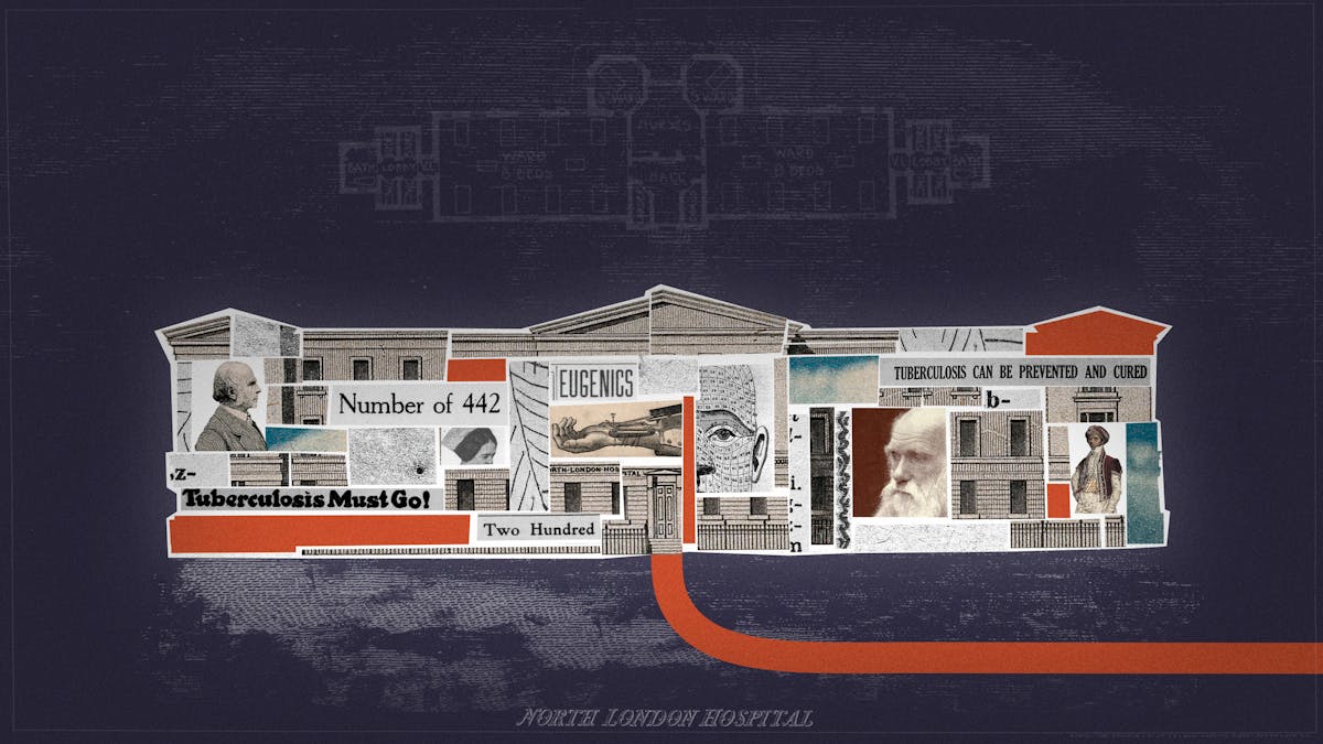 Colourful digital collage. Shown is a building, labelled 'North London Hospital'. The building's interior is filled with different collage elements, including newspaper cut-outs reading 'Tuberculosis can be prevented and cured', 'Tuberculosis must go!' and 'Eugenics'. There is an image of a sphygmograph, and an image showing physiognomy. There are photos of Charles Darwin, Francis Galton and Sake Dean. There are orange and turquoise rectangles in the interior, and an orange path leading out of the building's front door. 