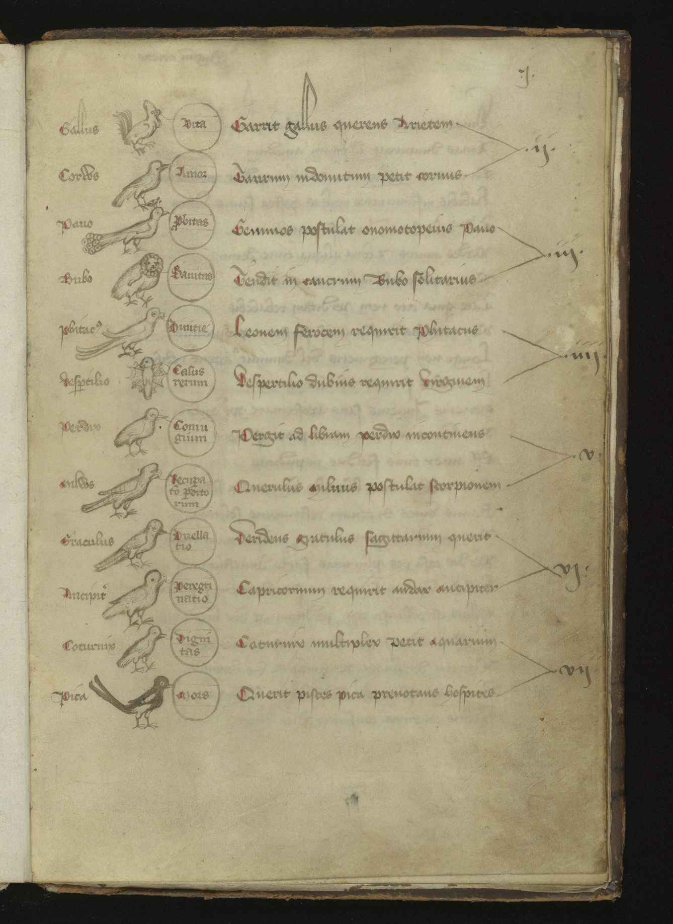 Manuscript page with sketches of birds with names, written list of qualities associated with each bird, and the zodiacal sign linked with the bird