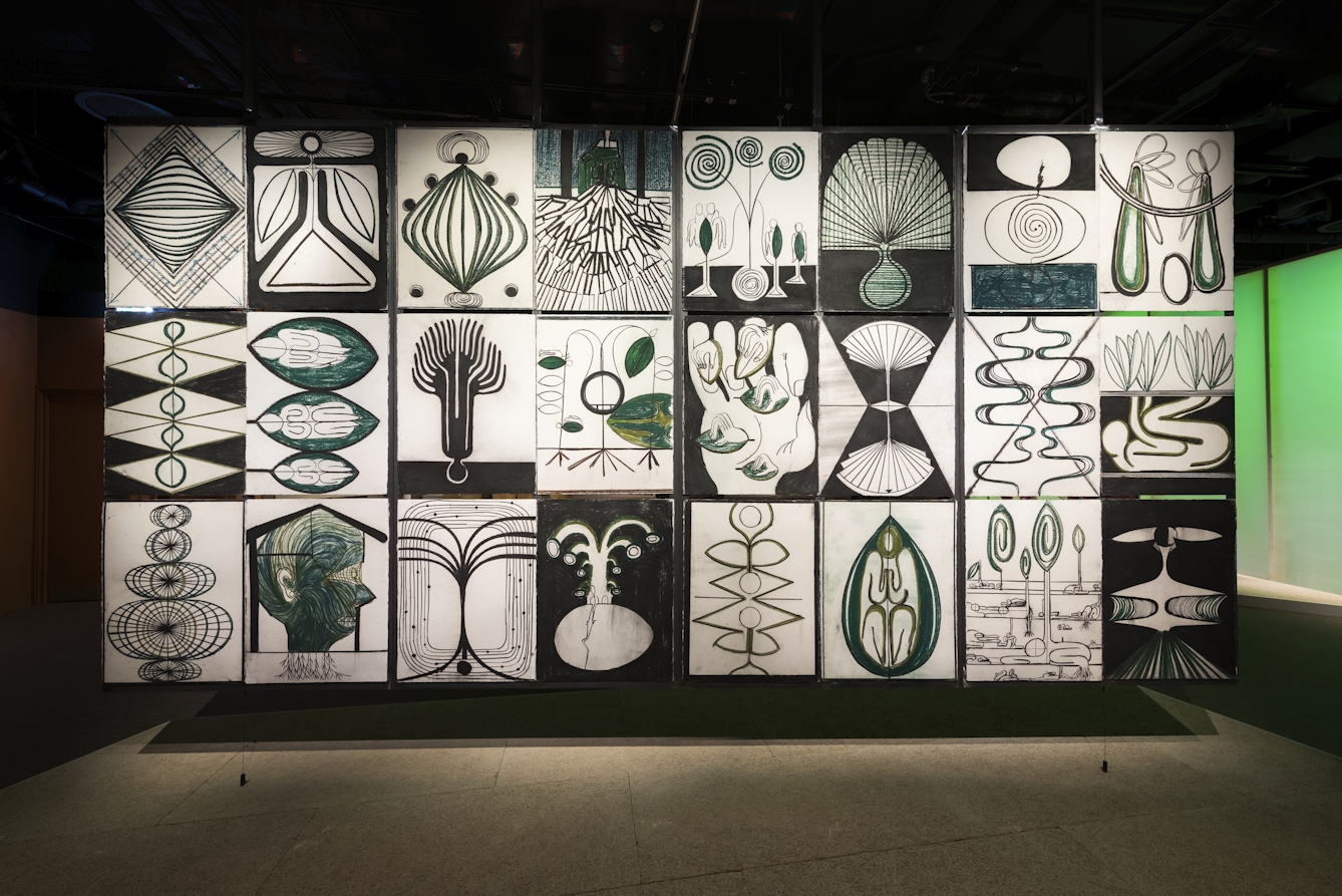 Photograph of a set of charcoal drawings on light-coloured envelopes showing part-human, part-plant beings. There is a grid of these drawings that is three deep and eight across.