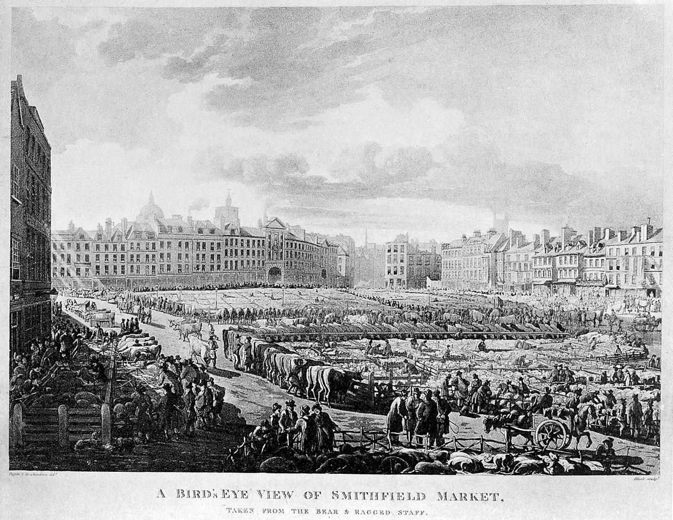 Black and white illustration offering a wide perspective of a cattle market - full of cows and people - surrounded by tall buildings.