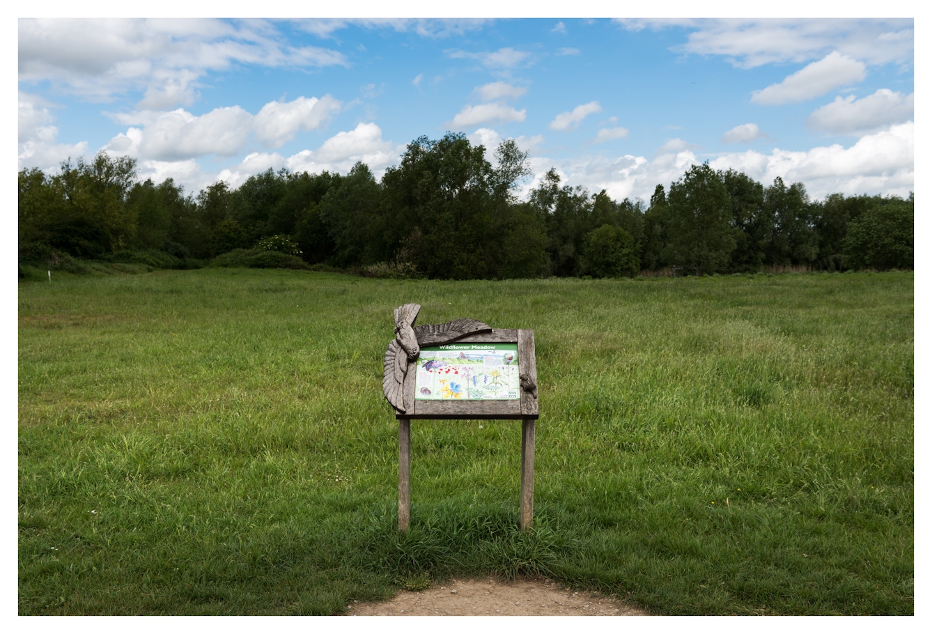 Colour photograph of a green expanse of grassland in a country park setting. In the distance is a row of trees and shrubs stretching from left to right. In the centre of the image is a small wooden board on two posts with a large white illustrated information sheet attached to it, showing flowers and insects. The title ‘Wildflower Meadow’ can just be made out. The frame around the board is adorned with a large wooden carved bird of prey on the top left and a small mammal on the bottom right.
