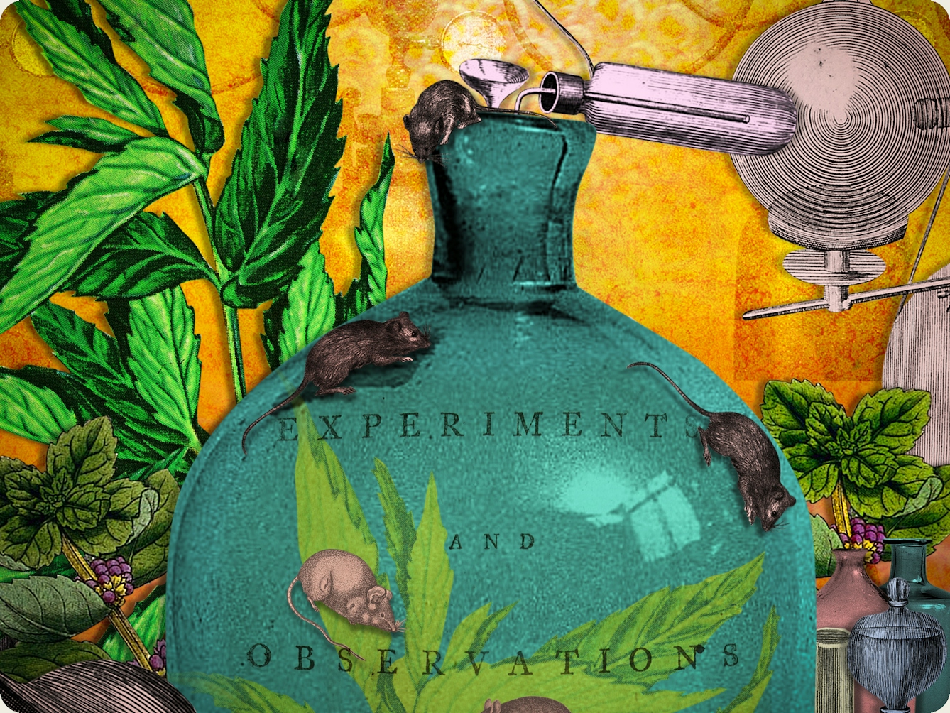 Detail from a larger digital montage artwork created using archive material. The image shows part of a larger science experiment with all sorts of things going on. A large glass bell jar is at the centre containing mice, mint leaves and the title page from a book which reads, 'Experiment and Observations...". Surrounding the jar are other scientific instruments including test tubes, condensing tubes, and mechanical tools. More mice run over these elements surrounded by mint leaves.