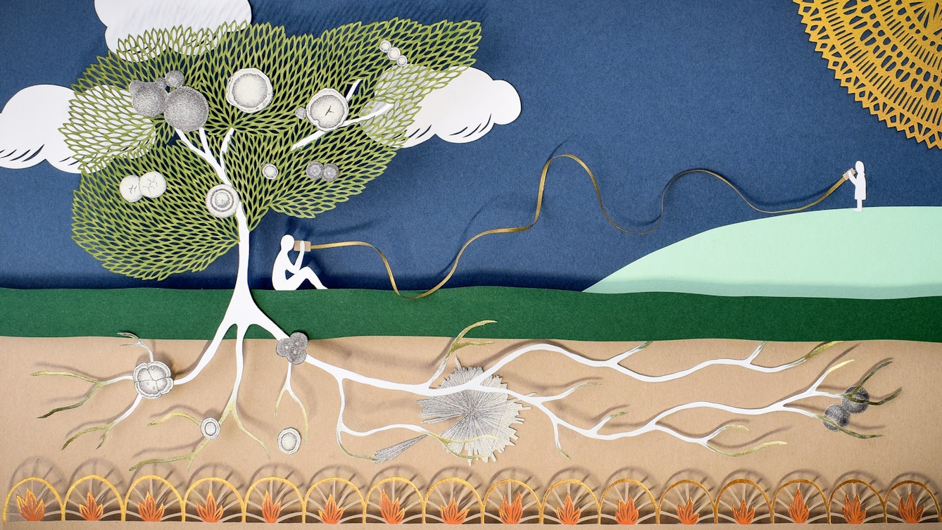 Colourful papercut artwork with many separate elements on different levels creating a scene with depth, perspective and shadows. The scene shows a green grass horizon line with a tree growing up into a blue sky. The roots of the tree are visible in cross section as they extend into the earth beneath the grass. Nestled within the branches and roots are black and white drawings of human cell structures. Seated under the tree is a small white figure who is holding a cup and string to their ear. The string curls away into a distant hilltop where another small figure is standing speaking into the cup at the other end. Behind them is a golden doily shaped sun in the sky.