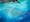 Detail from a larger colourful watercolour artwork. The artwork shows an underwater scene. A shoal of small fish are swimming in the middle of the scene. Above the fish is a whale's tail, with several small fish swimming around it.