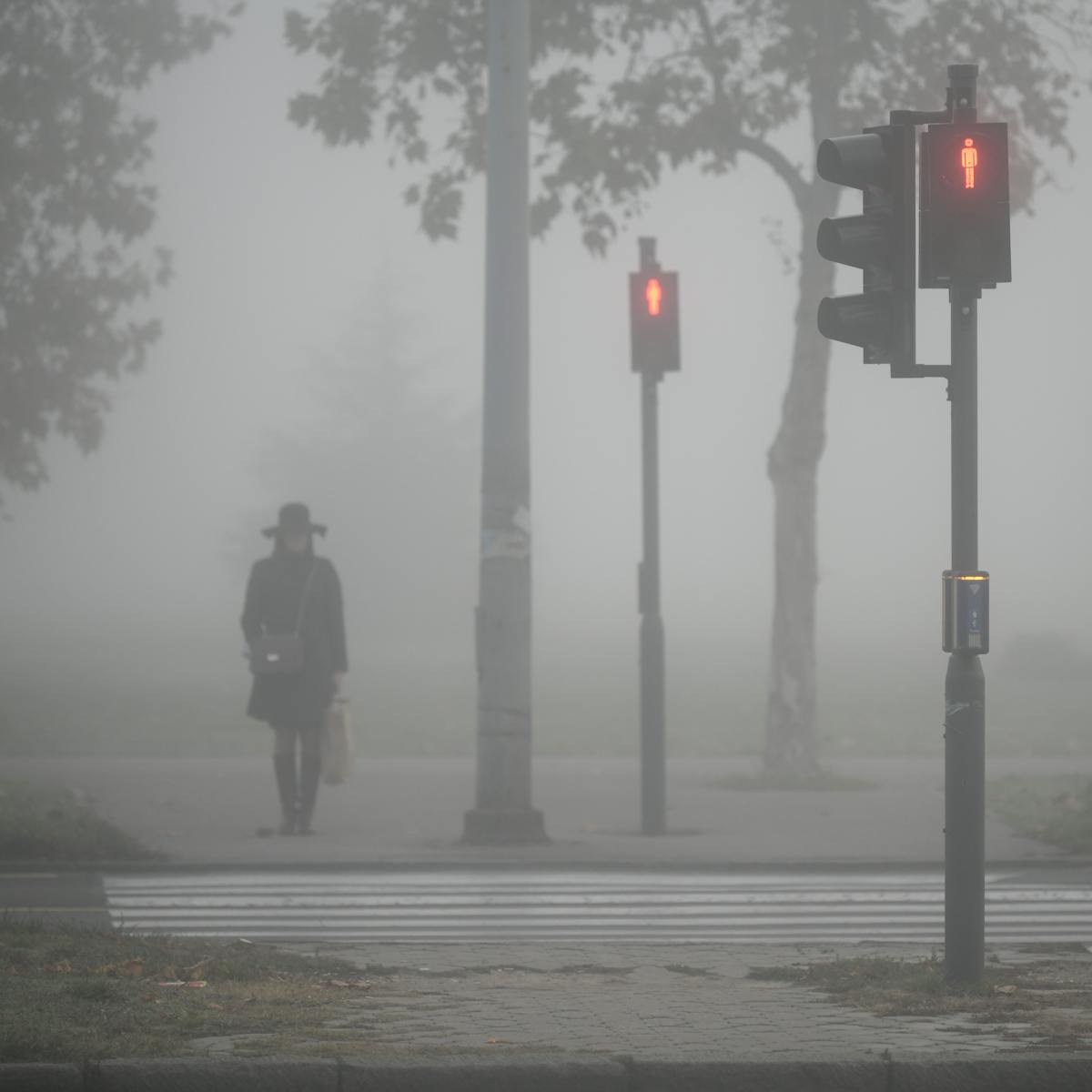 Photograph of a pedestrian crossing. On the far side of the crossing is a dark sillhouette of a woman, wearing a long coat and hat. There are several trees around her. There are two pedestrian crossing lights lit up red, one on either side of the road. It is very misty and foggy, and the mist is occluding a tree in the distance. 