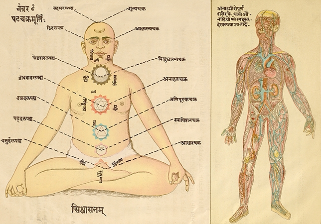 The yoga body in Shatchakra niroopana chittra with bhashya and bhasha, 1900-1910