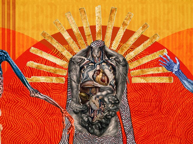 Detail from a larger abstract digital illustration featuring three anatomical depictions of the human body. This image reveals the major organs of the body the muscular structure. Circles of energy are shown to be radiating from each of the bodies, overlapping each other. The main colour combinations are yellows, reds and oranges. The background shapes contain textures and patterns.