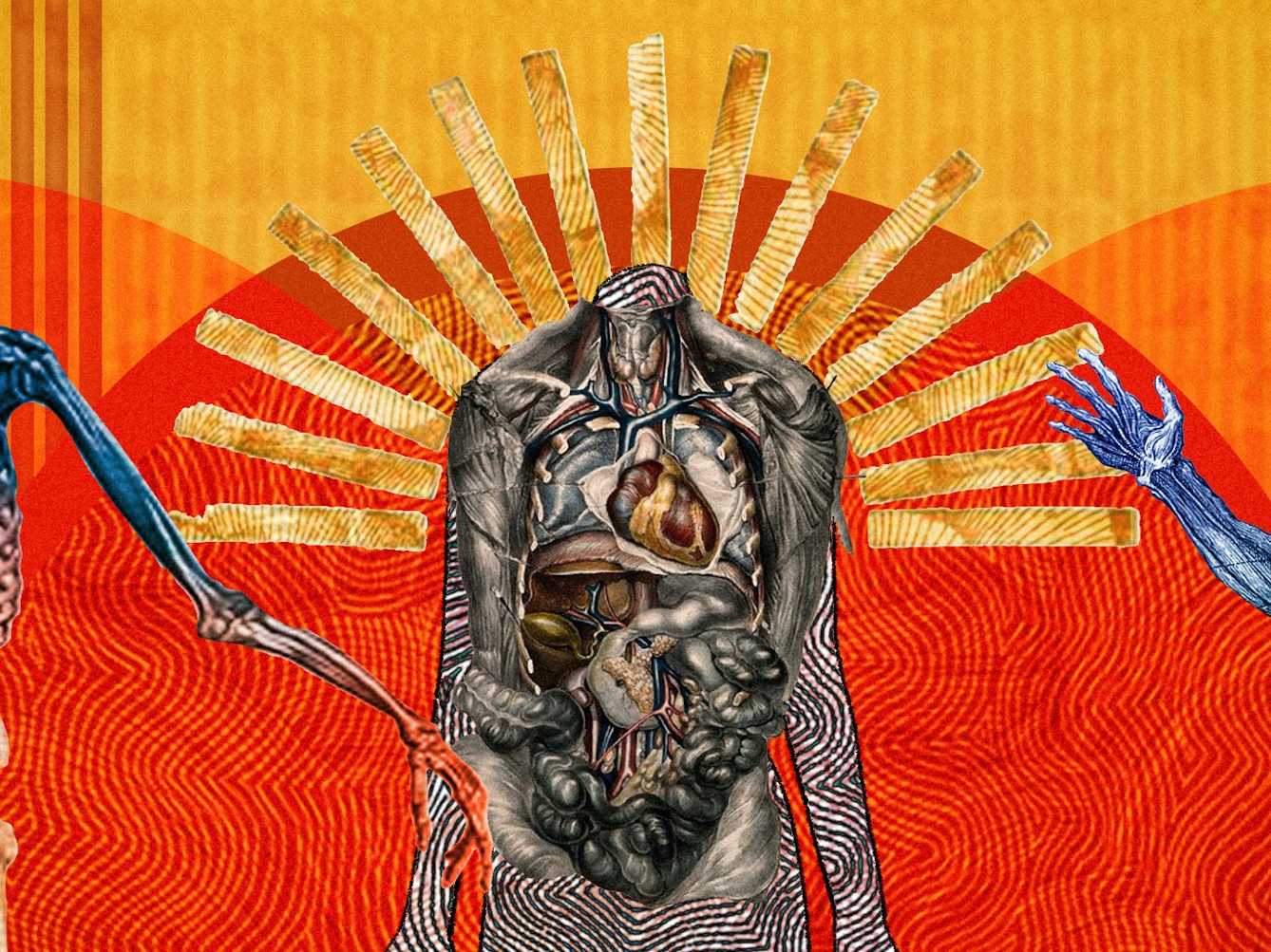 Detail from a larger abstract digital illustration featuring three anatomical depictions of the human body. This image reveals the major organs of the body the muscular structure. Circles of energy are shown to be radiating from each of the bodies, overlapping each other. The main colour combinations are yellows, reds and oranges. The background shapes contain textures and patterns.