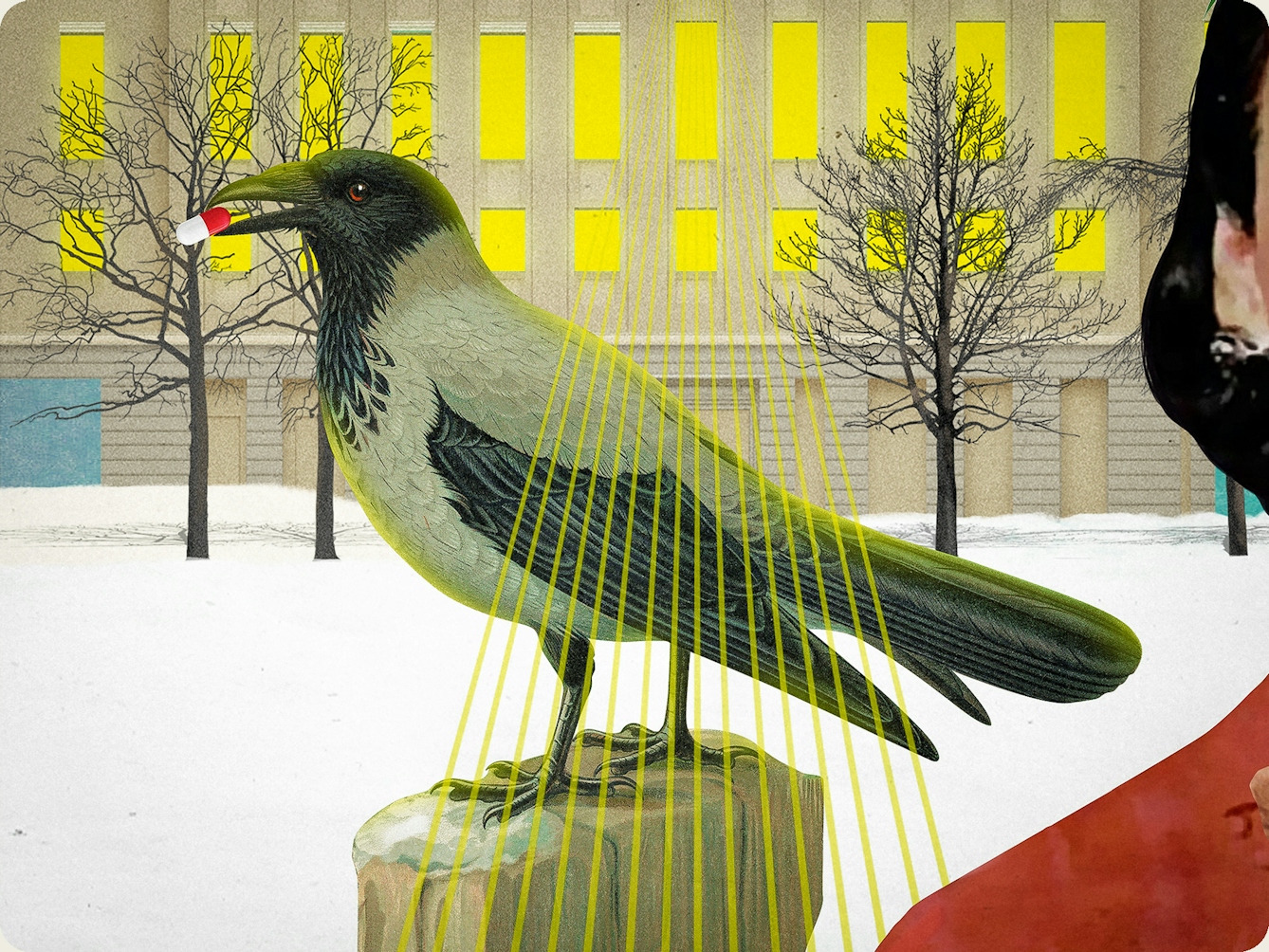 Detail from a larger mixed media digital artwork combining found imagery from vintage magazines and books with painted and textured elements. The overall hues are greens, yellows and pinks. At the centre of the artwork is a crow in profile, stood on a rock with a white and red pill capsule in its mouth. Behind the crow is a snowy scene surrounding a large industrial building. The lights inside the building are bright yellow with fans of laser lights shining out of the windows towards the viewer over the back of the crow. 