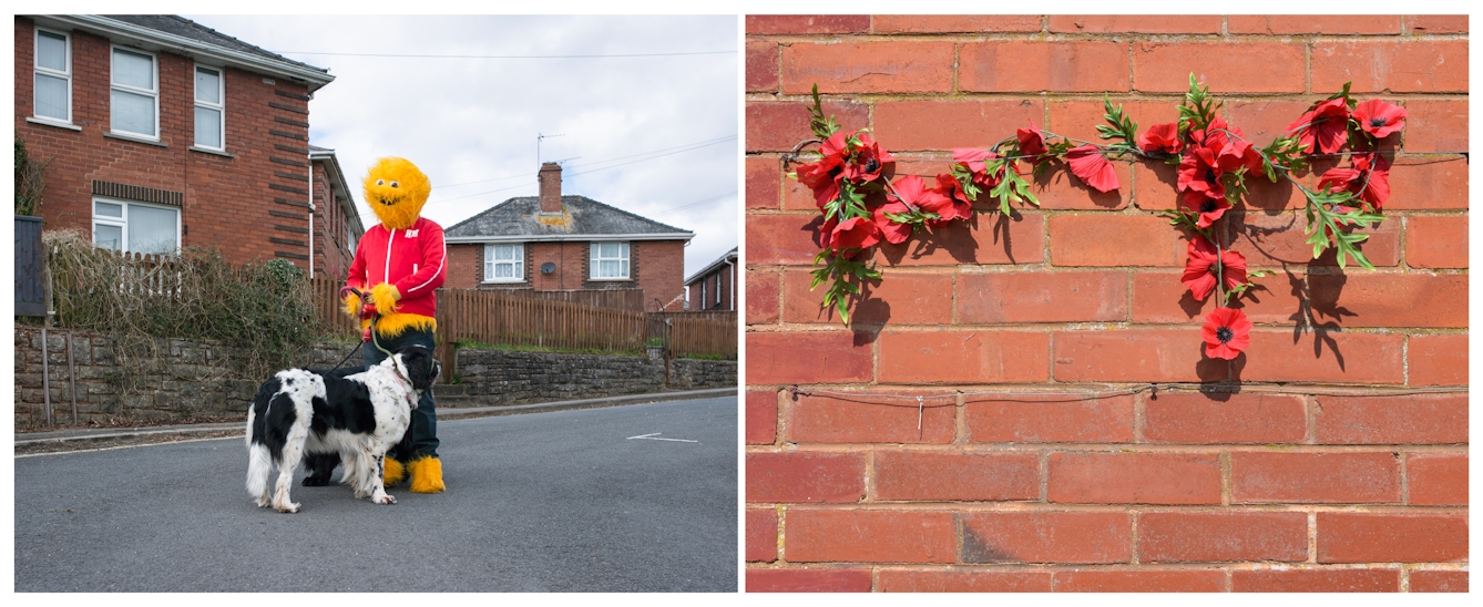 A photographic diptych. The image on the left shows an adult wearing a furry yellow Honey Monster costume, including a red tracksuit top and blue tracksuit bottoms standing in a residential road with red brick houses beyond. The Honey Monster is holding a large black and white dog facing away from camera. The image on the right shows a close up of an artificial red poppy garland held to a red brick e wall with wire. 
