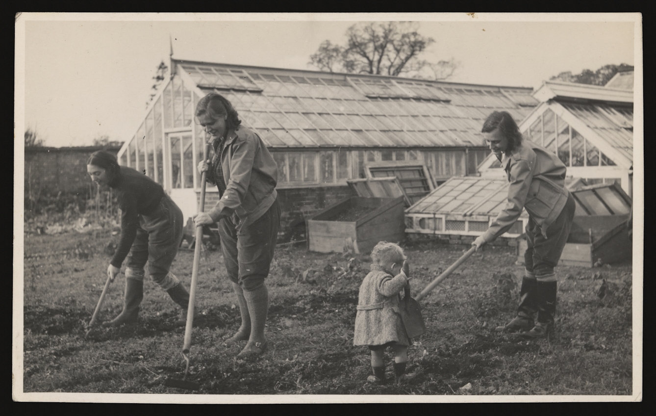 Black and white photograph showing three women hoeing some land, with a small child in the foreground holding a large trowel. Two large glasshouses stand behind them.