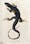 A monitor lizard c.1795