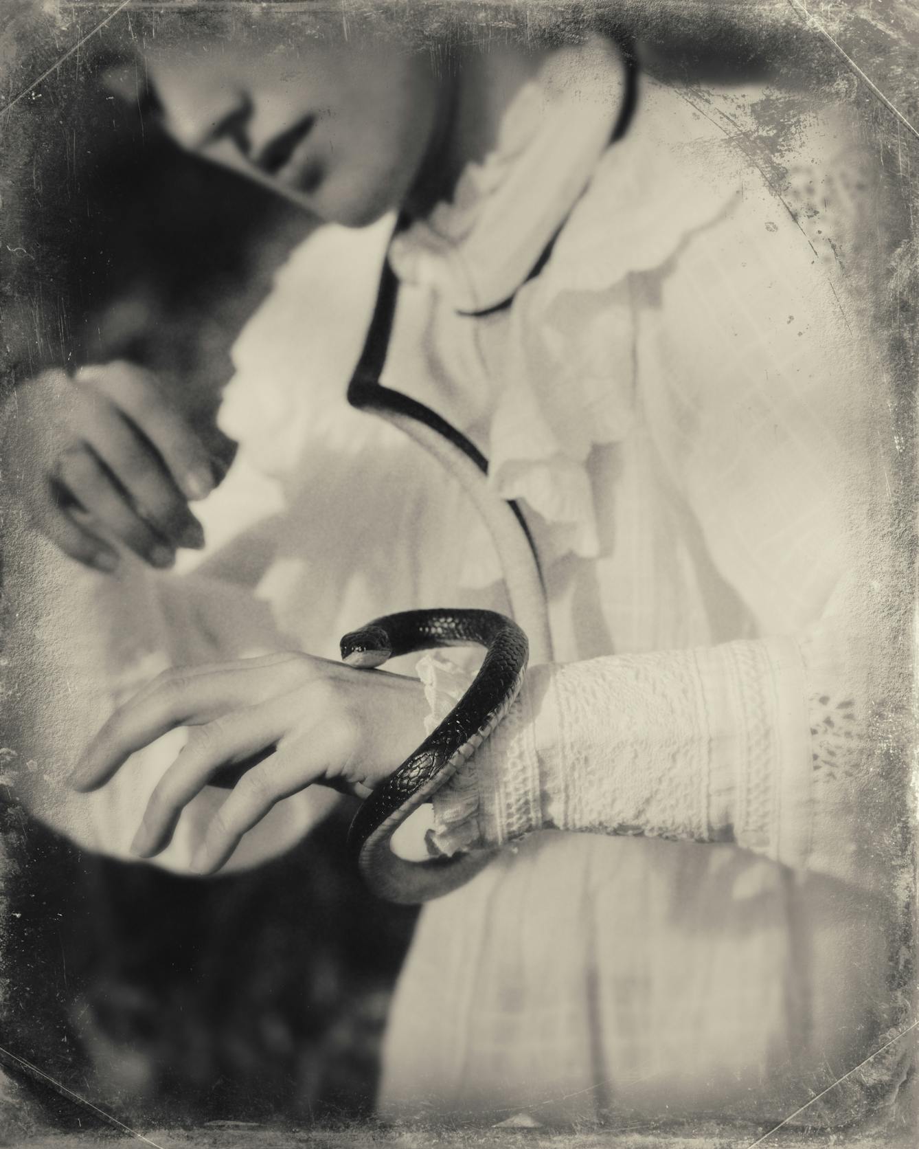 Sepia toned photograph with a digital filter applied to give the impression the photograph was created using a glass-plate process from the mid 19th century. The effect of this filter includes scratches and fingerprints. The photograph shows a close-up of a woman's torso. She is wearing a white blouse embellished with frills and large cuffs. Her left hand is raised in in front of her. Wrapped around her neck and running over her shoulder and down to her raised arm is a long darkly toned snake. The centre of the frame and the snake's head is in sharp focus, but the edges descend quickly into a blur.