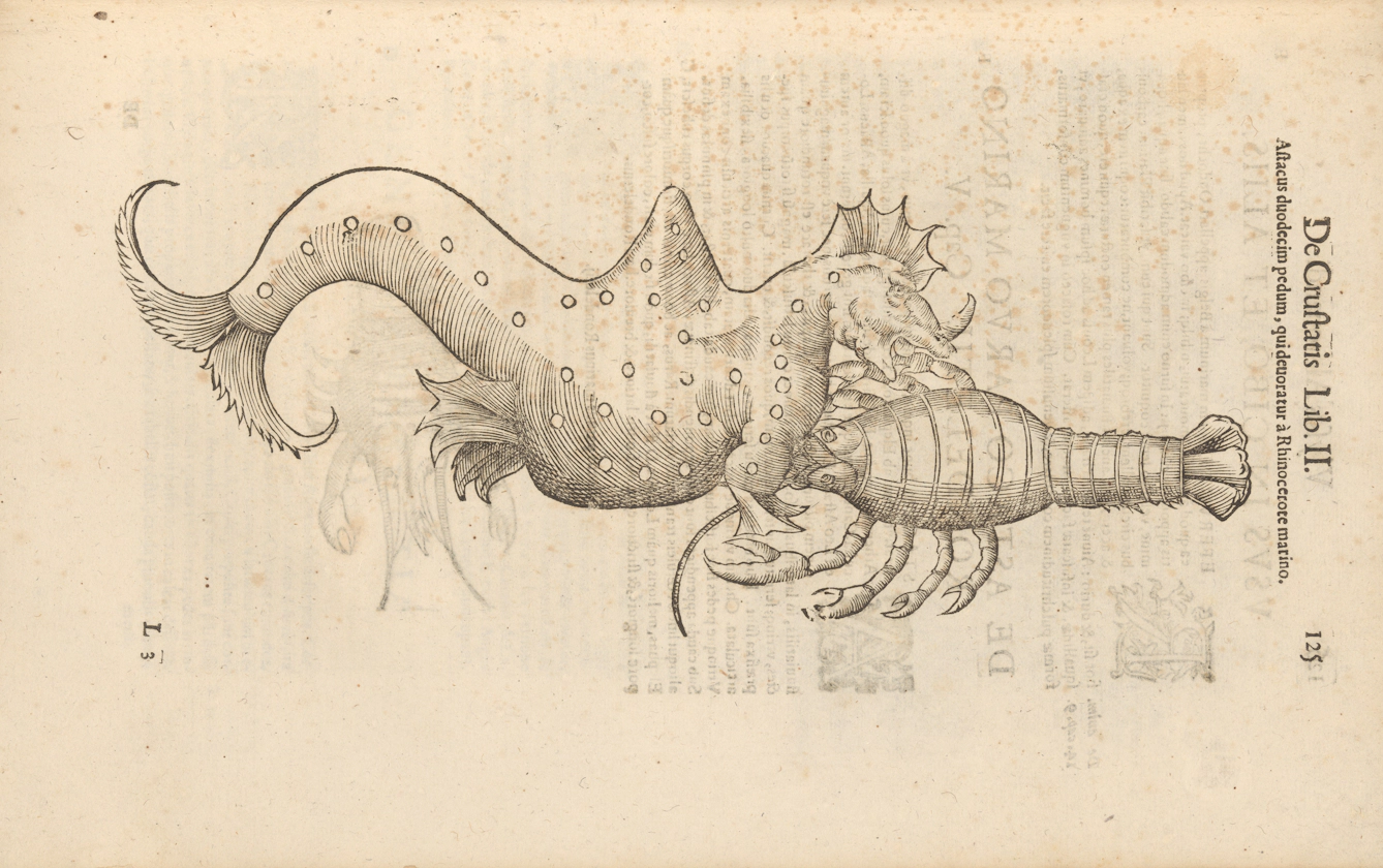Fantastic beasts and unnatural history | Wellcome Collection