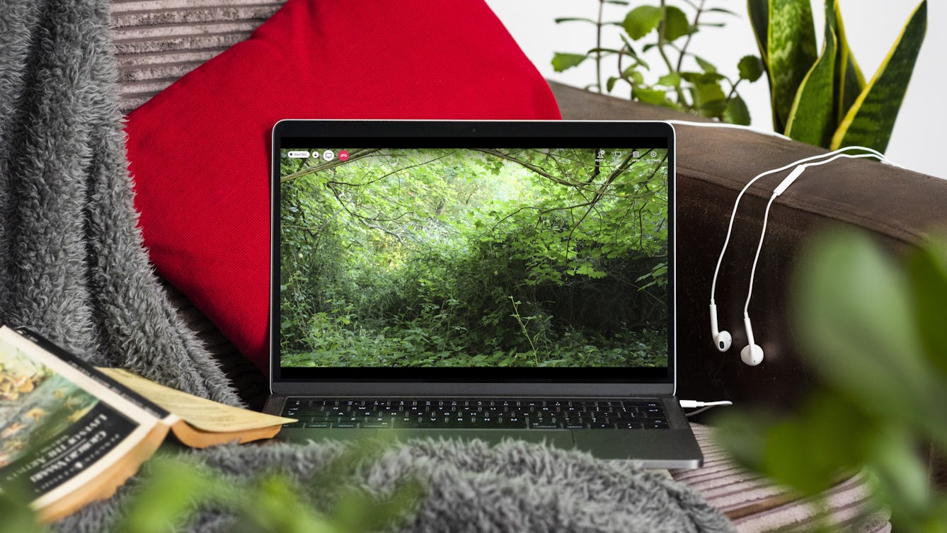 Photograph of a laptop on a sofa. The laptop has a full-screen image of a leafy green den in a woodland area with a red video call phone icon in the top lefthand corner. A grey fluffy blanket is flung over the back of the sofa and a red cushion sits behind the laptop. White headphones are connected to the laptop and rest on the sofa arm. Next to the laptop is a book lying face down and open on the blanket.