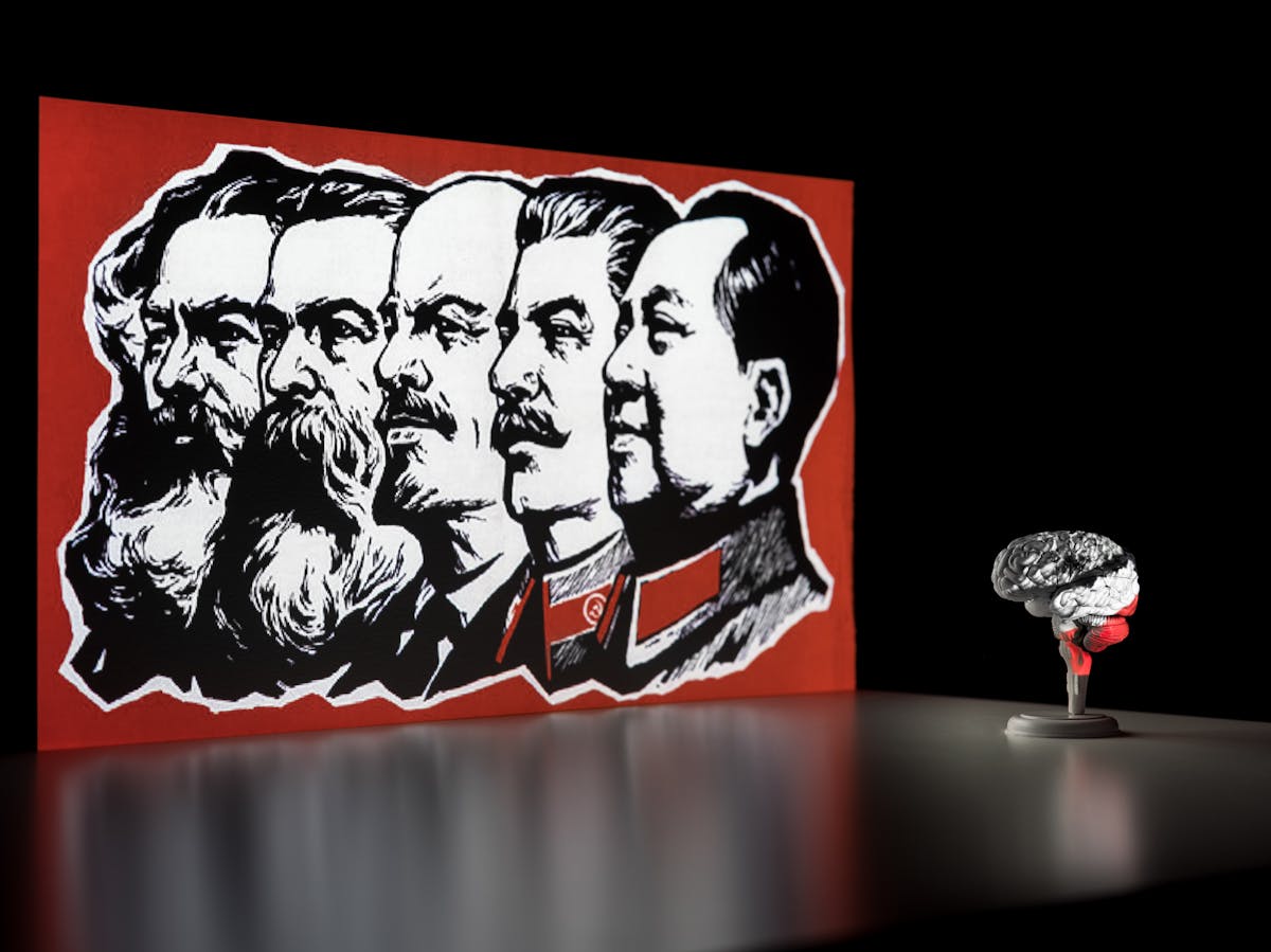 Photograph of a dark corner of a room. On the wall is a projected illustration of the heads of Marx, Engels, Lenin, Stalin and Mao Zedong, all in profile. The illustrated heads are monotone set within a bright red border. In front of the projected image is a flat tabletop which shows a slight reflection of the illustration. Standing on the table to the right is a small model of a brain, resting on a stand. Part of the projected image washes across the surface of the brain, covering it in the image and its colours.