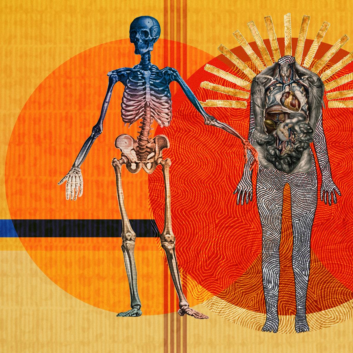 An abstract digital illustration featuring three anatomical depictions of the human body. The first shows the skeletal bone structure, the second reveals the major organs of the body and the third depicts the muscular structure. Circles of energy are shown to be radiating from each of the bodies, overlapping each other. The main colour combinations are yellows, reds and oranges. The background shapes contain textures and patterns.