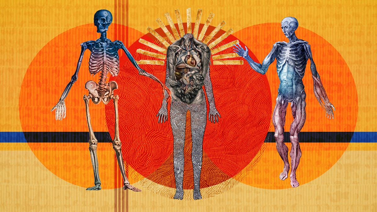 An abstract digital illustration featuring three anatomical depictions of the human body. The first shows the skeletal bone structure, the second reveals the major organs of the body and the third depicts the muscular structure. Circles of energy are shown to be radiating from each of the bodies, overlapping each other. The main colour combinations are yellows, reds and oranges. The background shapes contain textures and patterns.