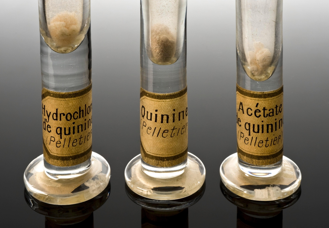 Three old test tubes in a row labelled  Hydrochloride quinine (Pelletier), Quinine (Pelletier) and Acetate de quinine (Pelletier). All the test tubes have white/grey sediment deposited in a clear liquid suspension. Colour photograph.
