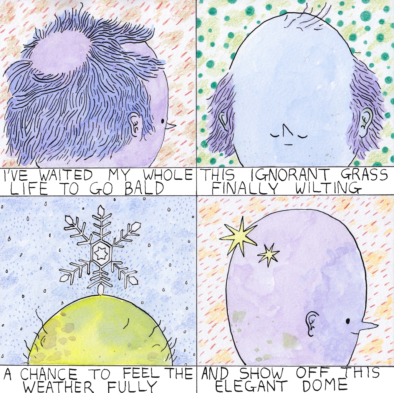 Bald comic by Rob Bidder in four frames.