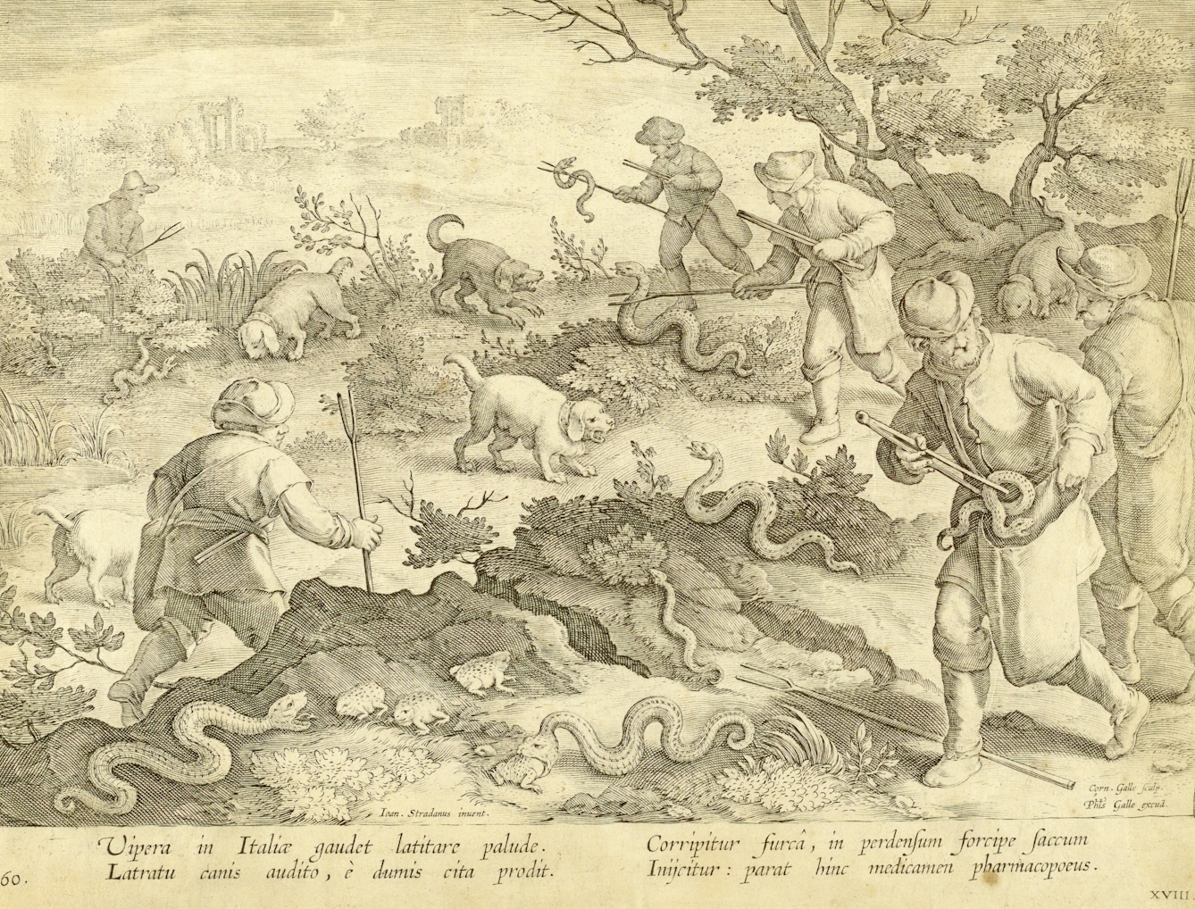 Hunting snakes, ca. 1595; After Jan van der Straet, called Stradanus 