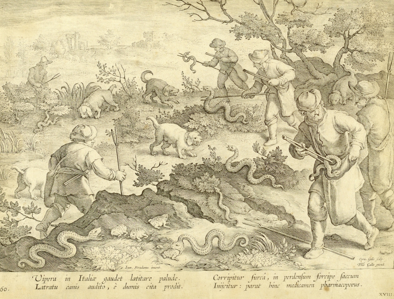 Hunting snakes, ca. 1595; After Jan van der Straet, called Stradanus