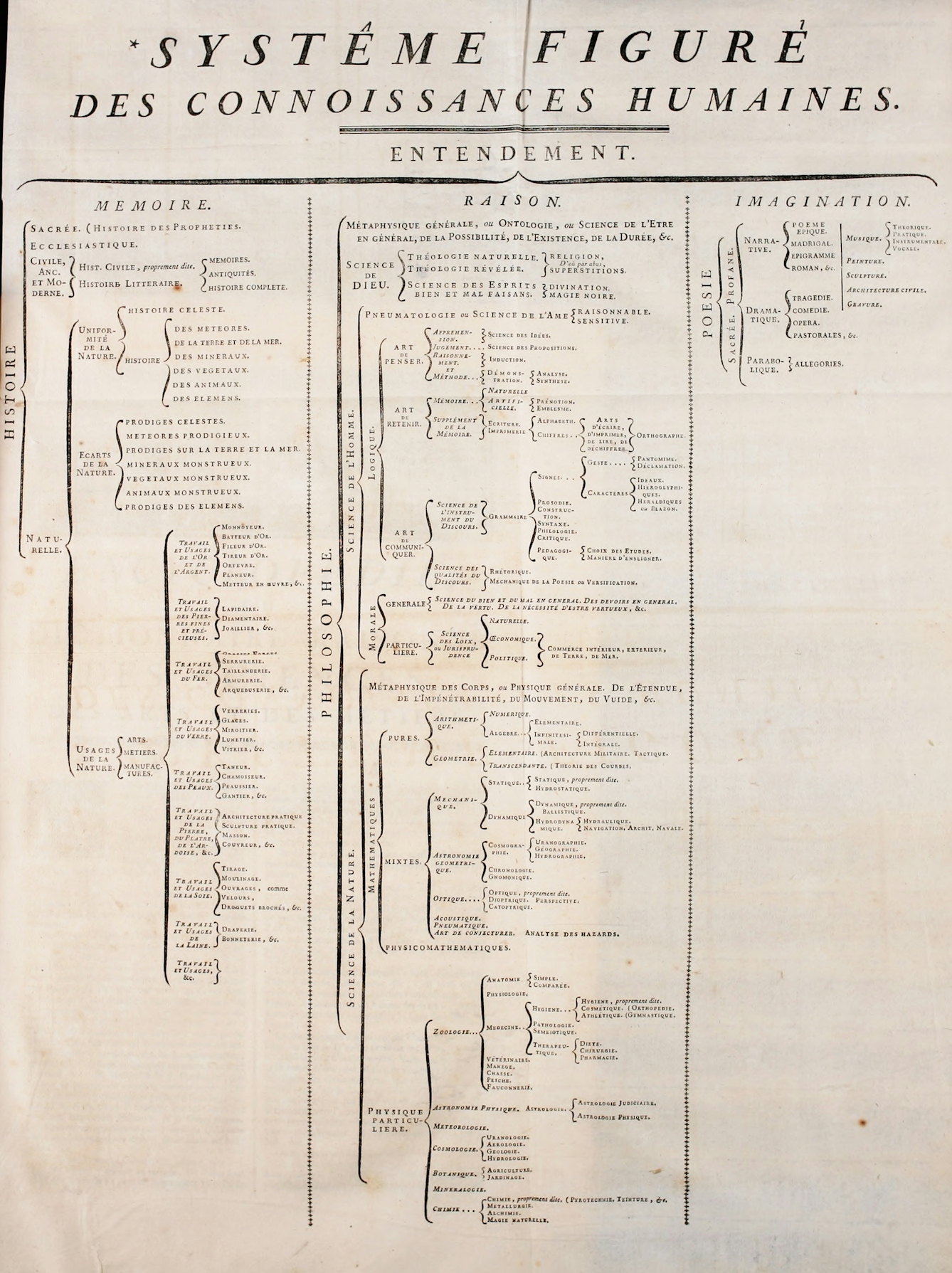 A "tree" diagram classifying human knowledge, with three stems for memory, reason and imagination. Words are in French. 