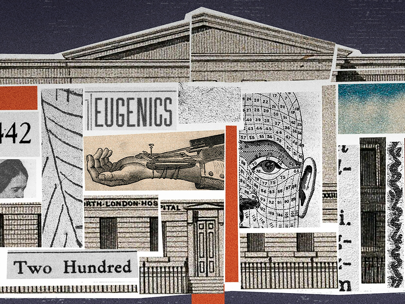 Crop from a larger digital collage. Shown is a building, labelled 'North London Hospital'. The building's interior is filled with different collage elements, including newspaper cut-outs reading 'Tuberculosis can be prevented and cured', 'Tuberculosis must go!' and 'Eugenics'. There is an image of a sphygmograph, and an image showing physiognomy. There are photos of Charles Darwin, Francis Galton and Sake Dean. There are orange and turquoise rectangles in the interior, and an orange path leading out of the building's front door.