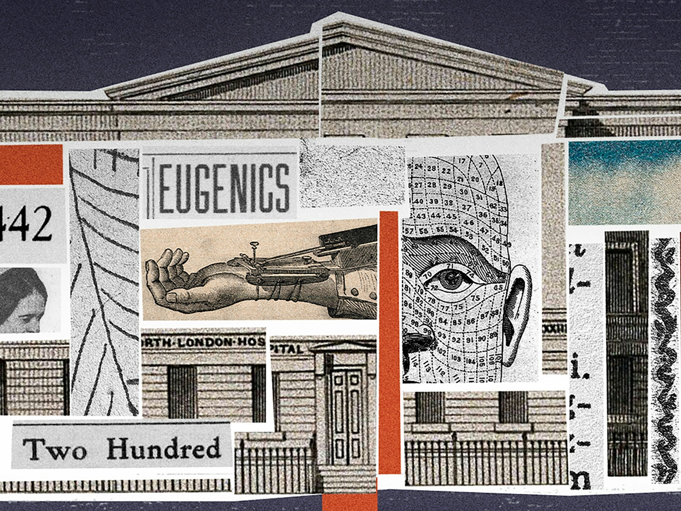 Crop from a larger digital collage. Shown is a building, labelled 'North London Hospital'. The building's interior is filled with different collage elements, including newspaper cut-outs reading 'Tuberculosis can be prevented and cured', 'Tuberculosis must go!' and 'Eugenics'. There is an image of a sphygmograph, and an image showing physiognomy. There are photos of Charles Darwin, Francis Galton and Sake Dean. There are orange and turquoise rectangles in the interior, and an orange path leading out of the building's front door. 